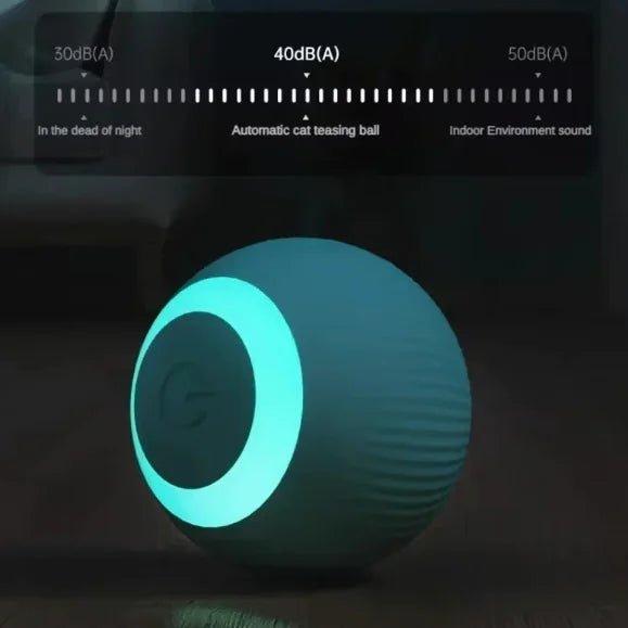 AutoPlay Cat Ball