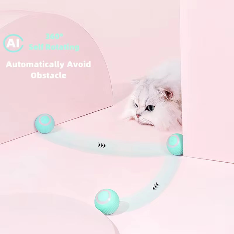 AutoPlay Cat Ball