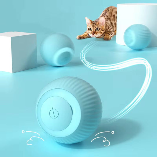 AutoPlay Cat Ball